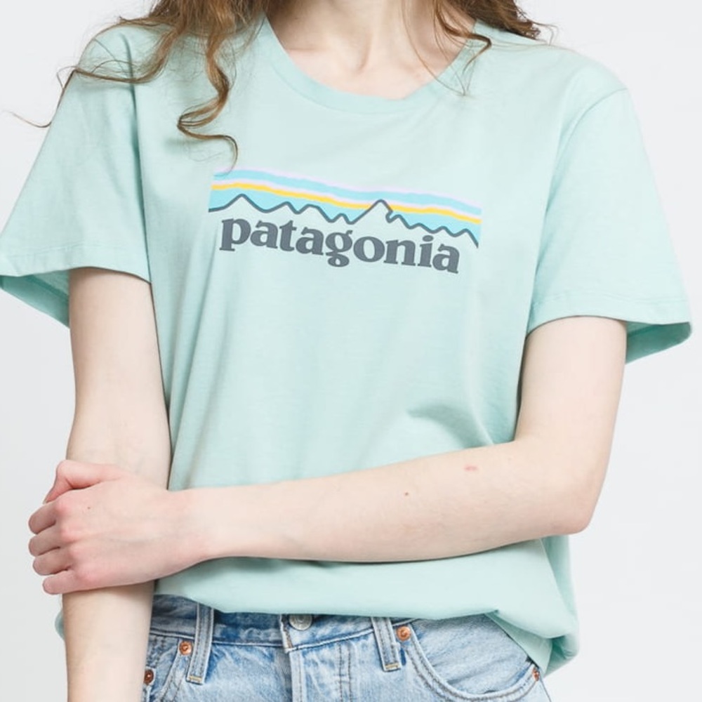 PATAGONIA Pastel Blue Logo Tee